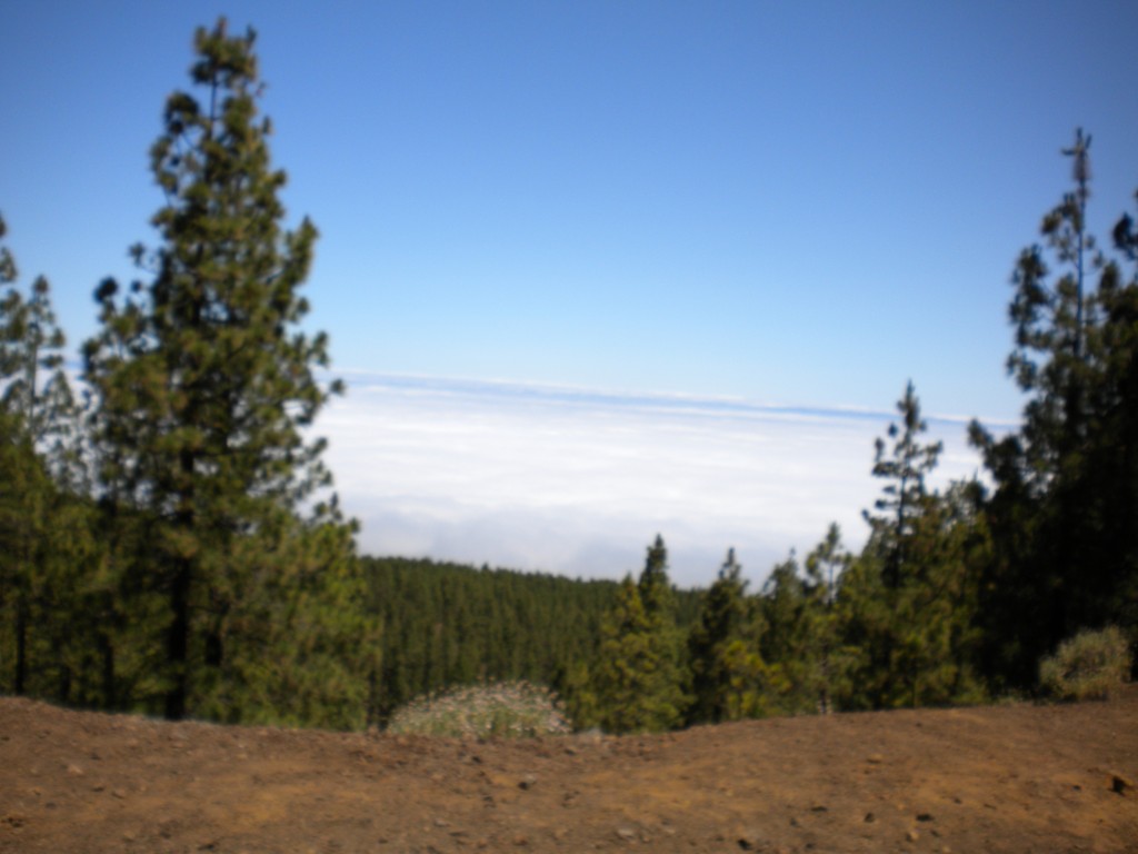 Foto de Parque Nacional del Teide (Santa Cruz de Tenerife), España