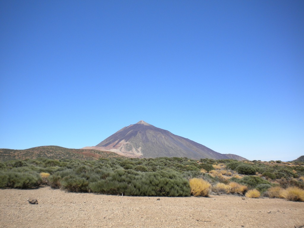 Foto de Parque Nacional del Teide (Santa Cruz de Tenerife), España