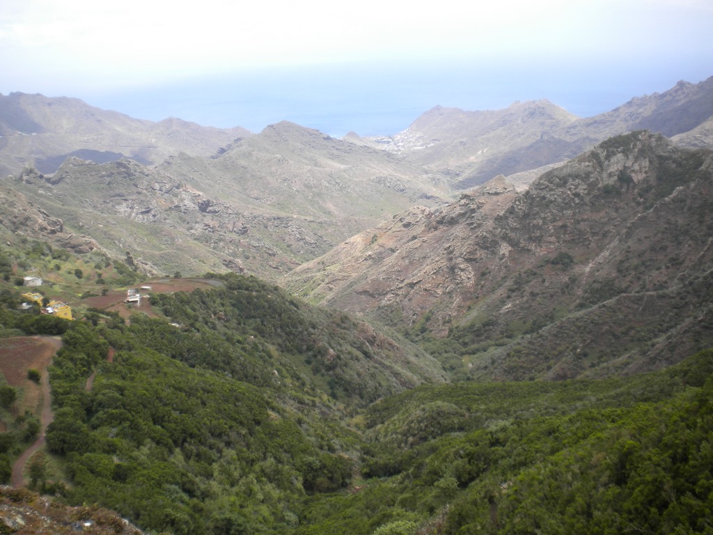 Foto de Taganana (Santa Cruz de Tenerife), España