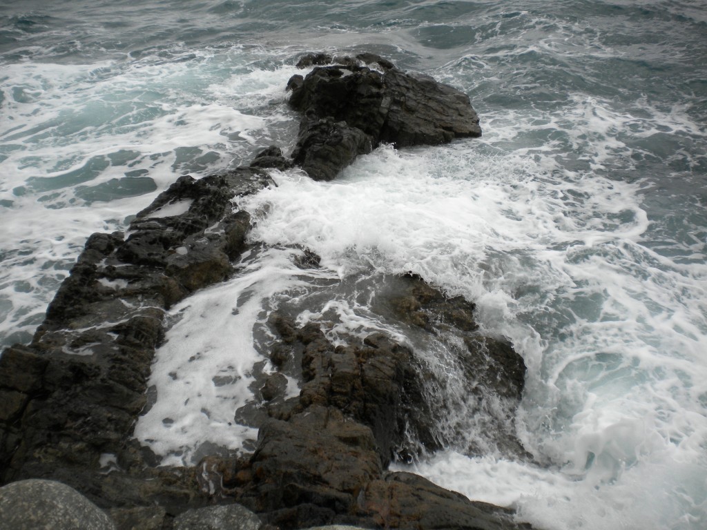 Foto de Puerto de la Cruz (Santa Cruz de Tenerife), España