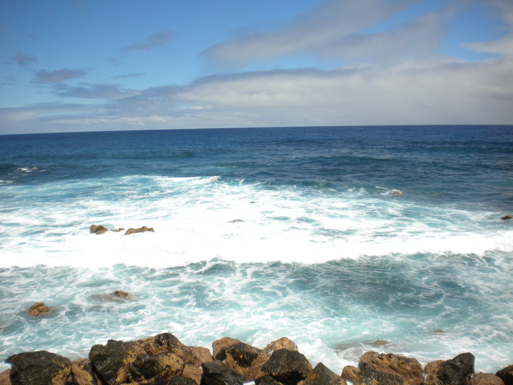 Foto de Puero de la Cruz (Santa Cruz de Tenerife), España