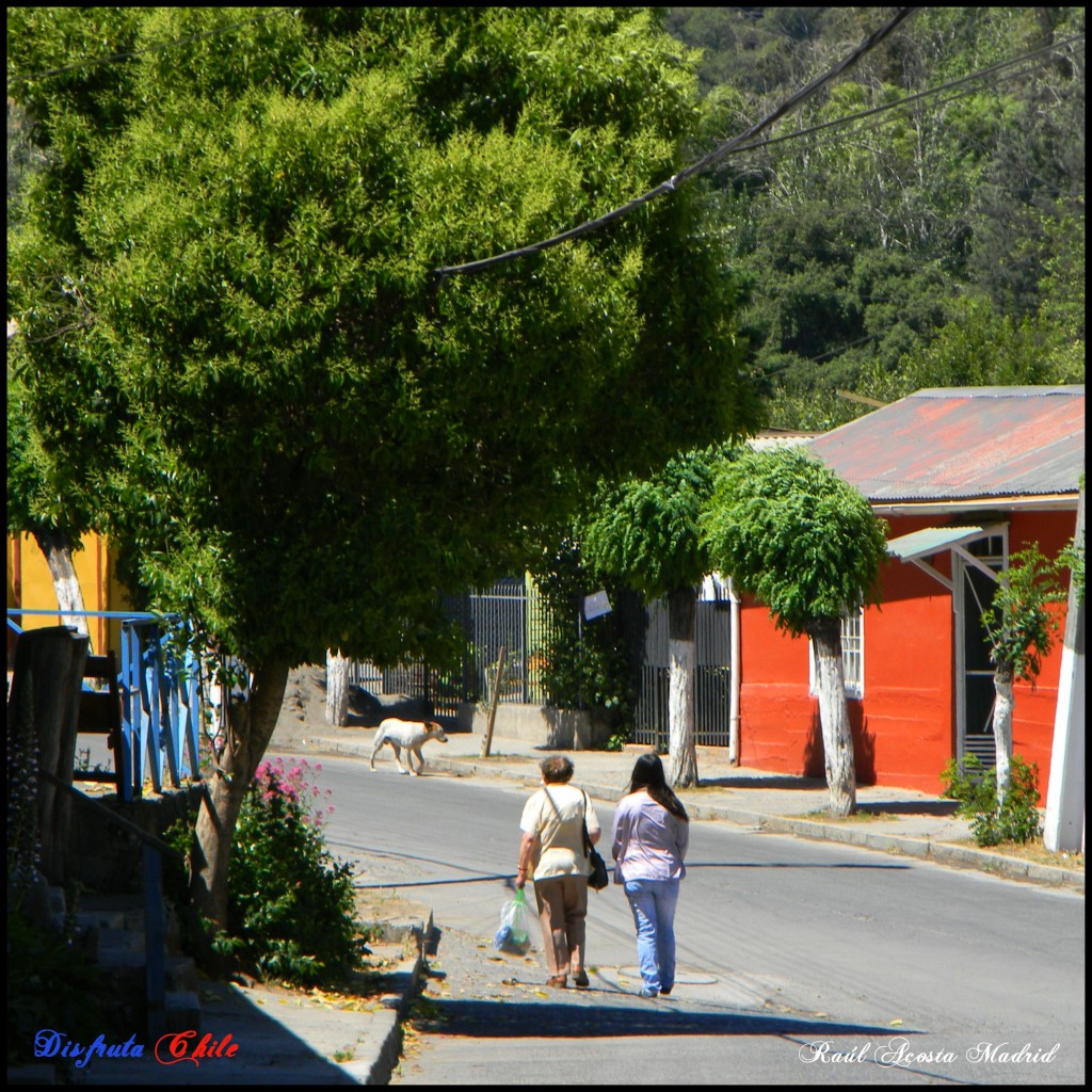 Foto de Coya (Libertador General Bernardo OʼHiggins), Chile