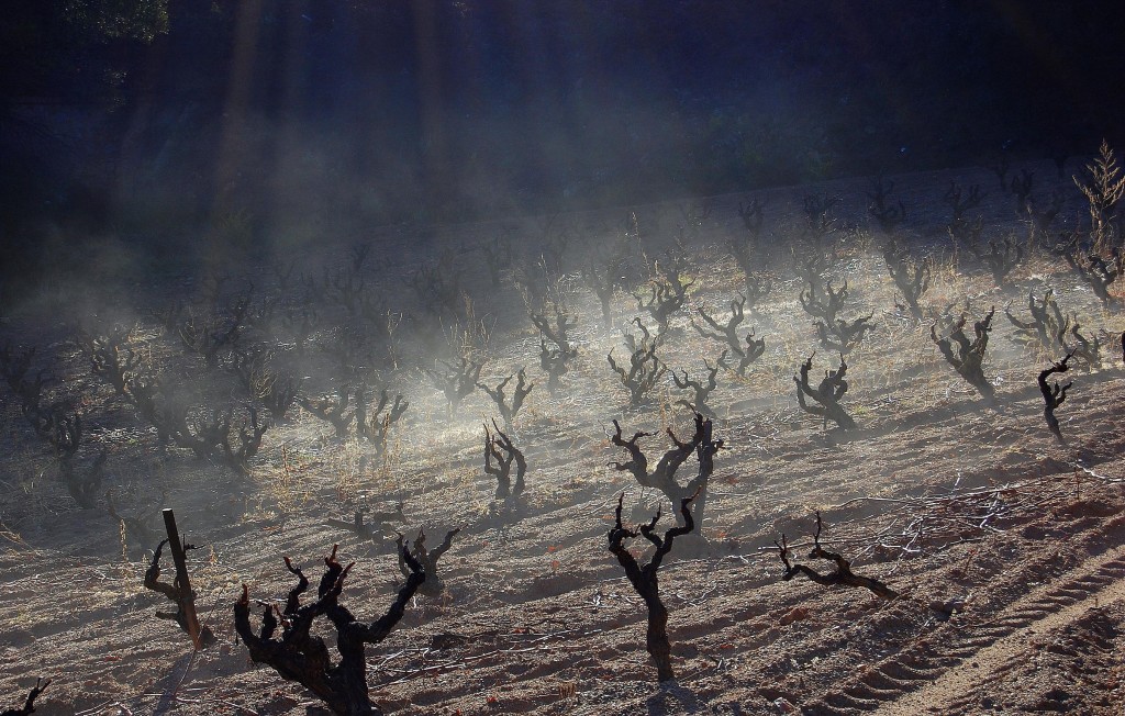 Foto de El Pla de Manlleu (Tarragona), España