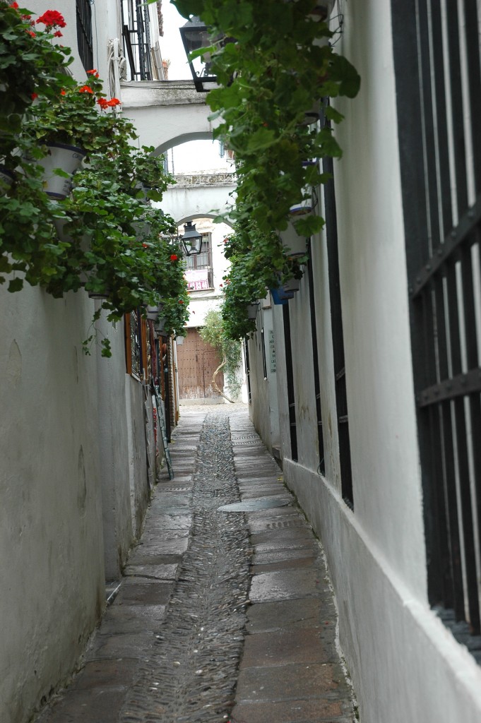Foto: JUDERIAS - Cordoba (Córdoba), España