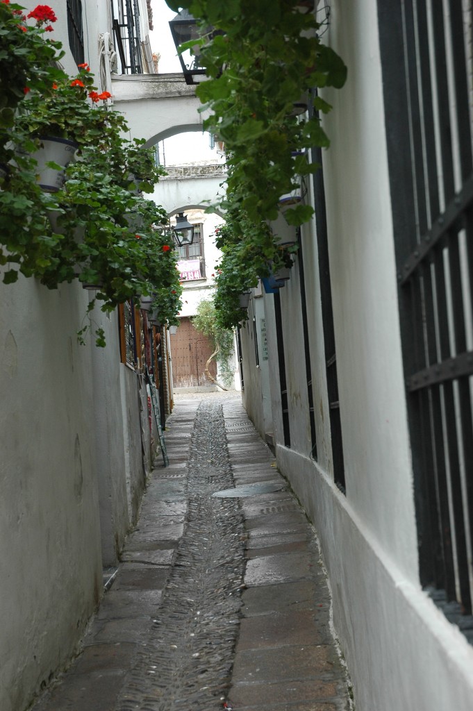 Foto: Juderias - Cordoba (Córdoba), España