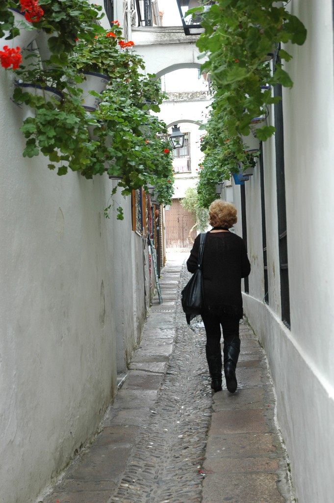 Foto: Juderias - Cordoba (Córdoba), España