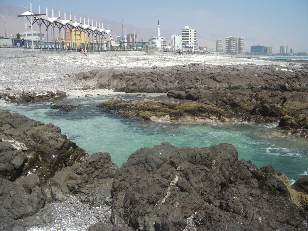 Foto: Playa Slava - Iquique (Tarapacá), Chile