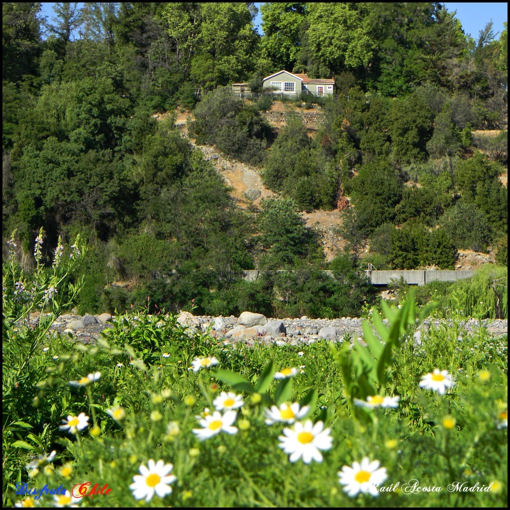 Foto de Coya (Libertador General Bernardo OʼHiggins), Chile