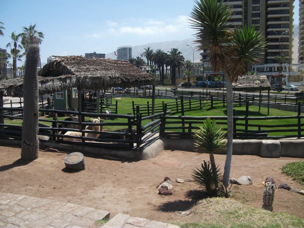Foto: Parque Temático Cavancha - Iquique (Tarapacá), Chile