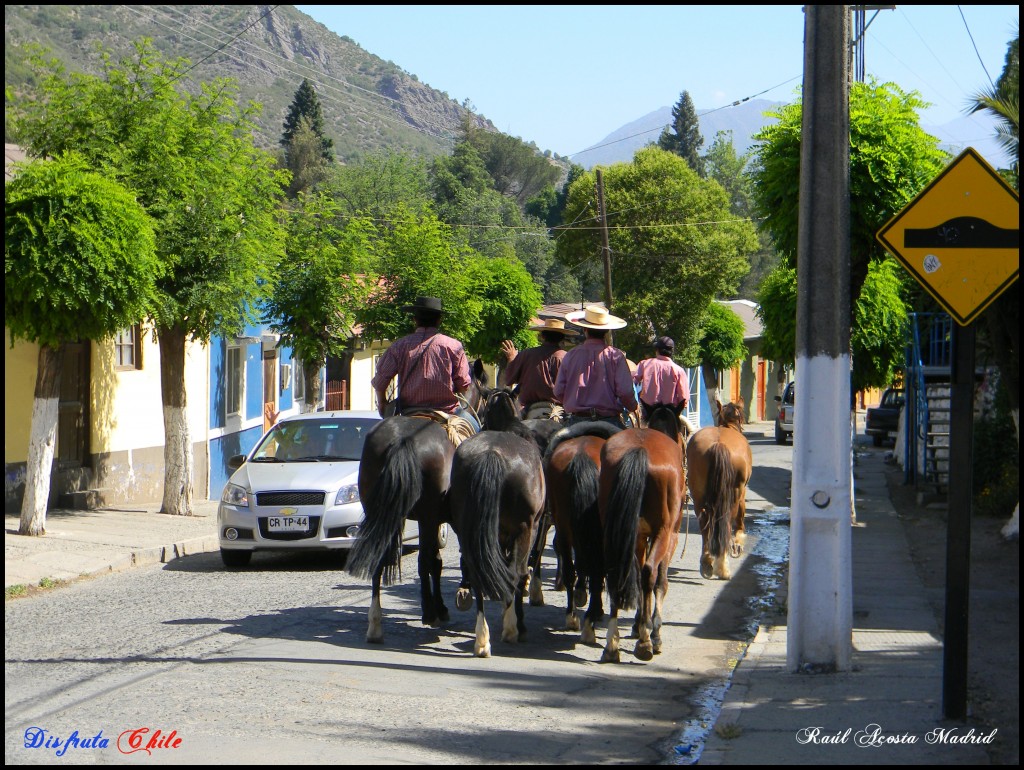 Foto de Coya (Libertador General Bernardo OʼHiggins), Chile