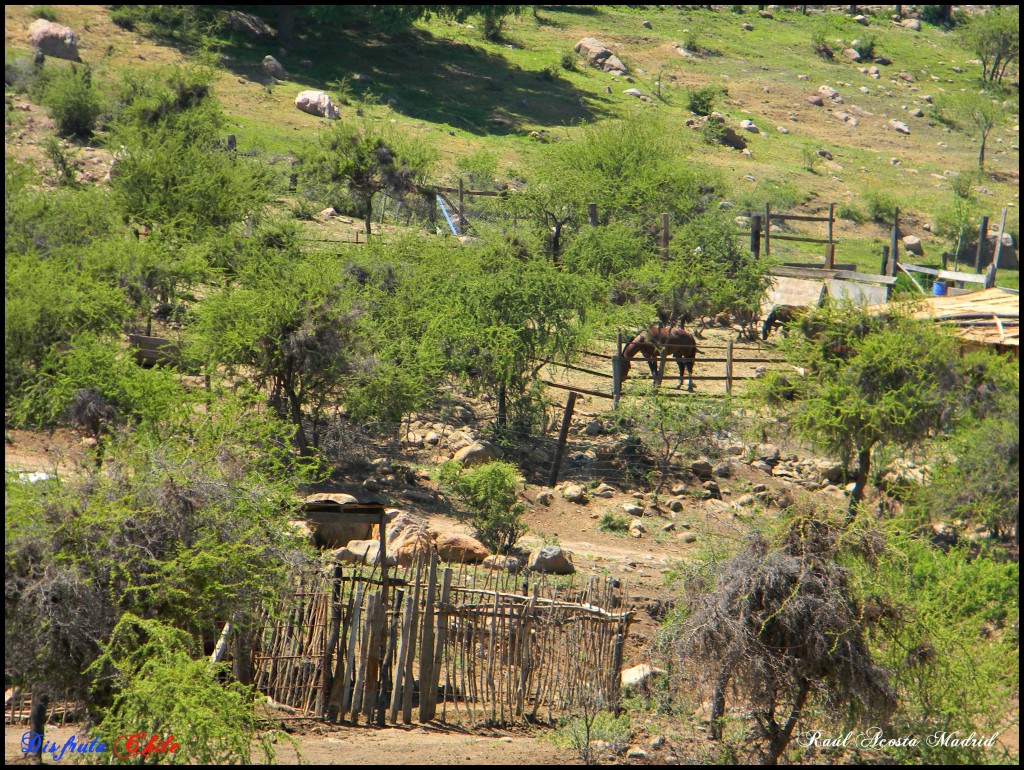Foto de Coya (Libertador General Bernardo OʼHiggins), Chile
