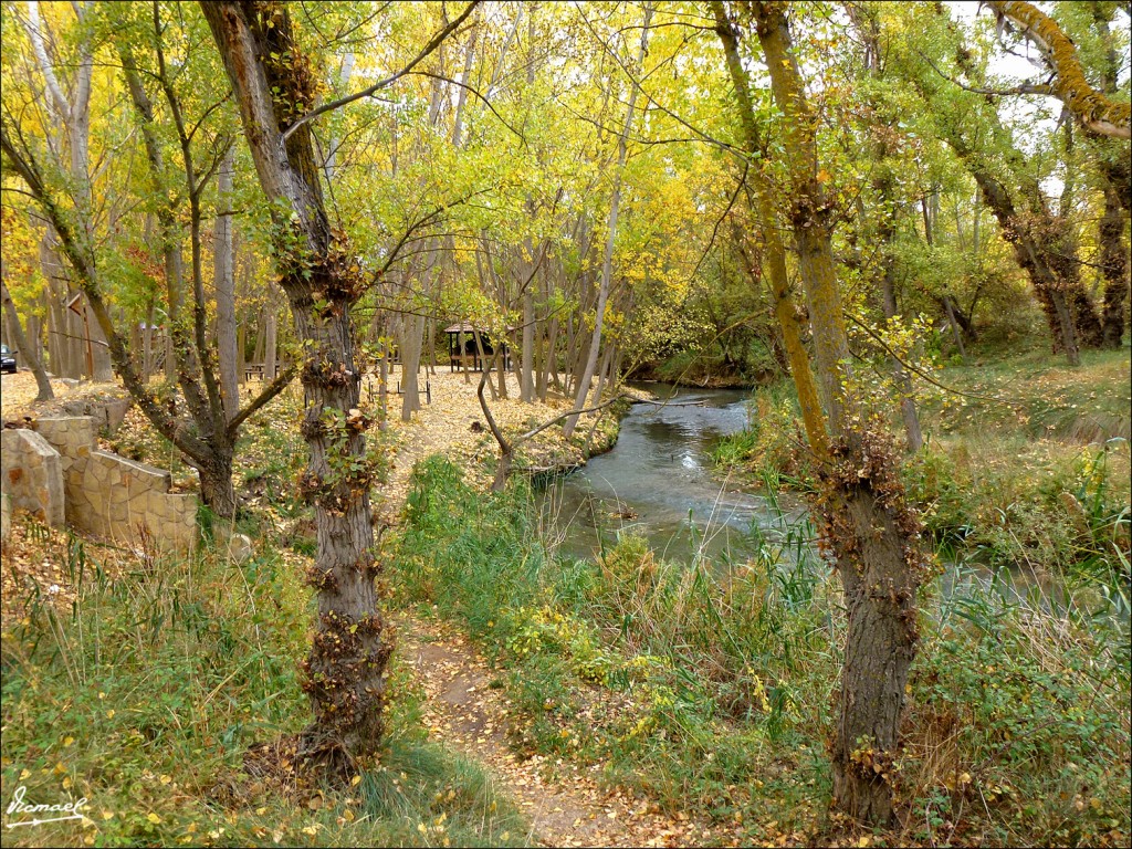 Foto: 111029-01 JALON POR ARCOS - Arcos De Jalon (Soria), España