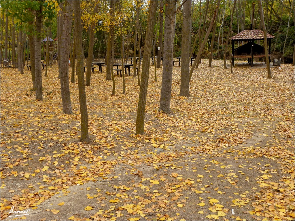 Foto: 111029-04 JALON POR ARCOS - Arcos De Jalon (Soria), España