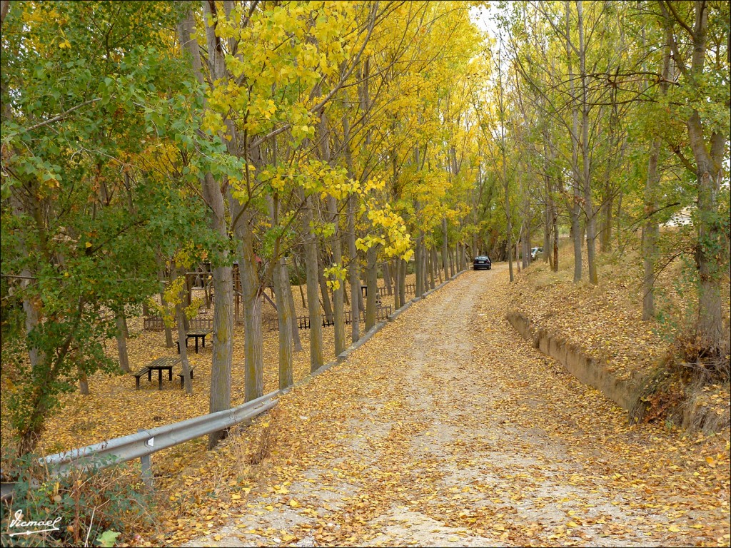 Foto: 111029-05 JALON POR ARCOS - Arcos De Jalon (Soria), España