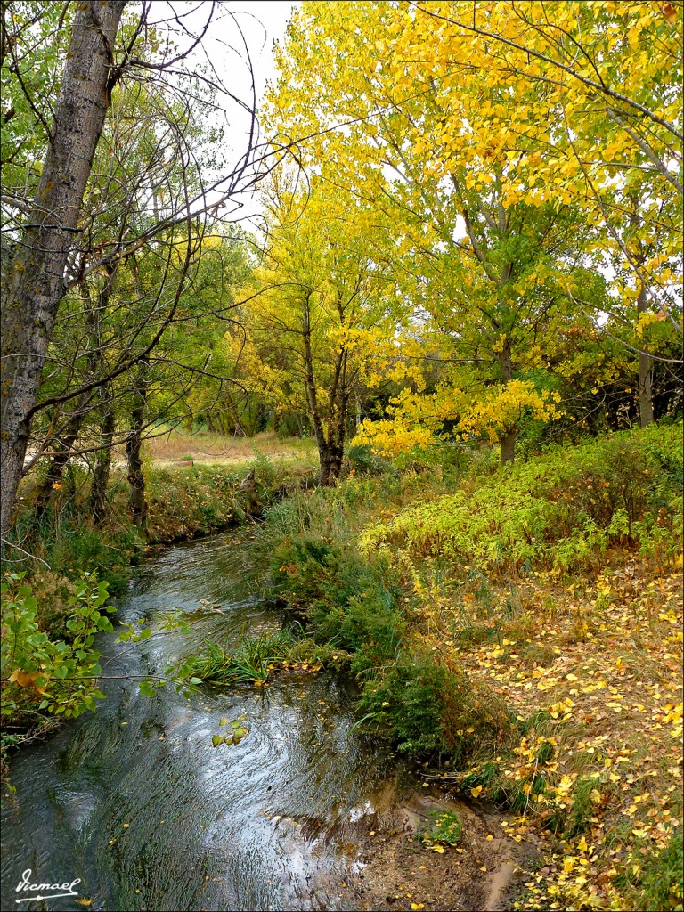 Foto: 111029-07 JALON POR ARCOS - Arcos De Jalon (Soria), España