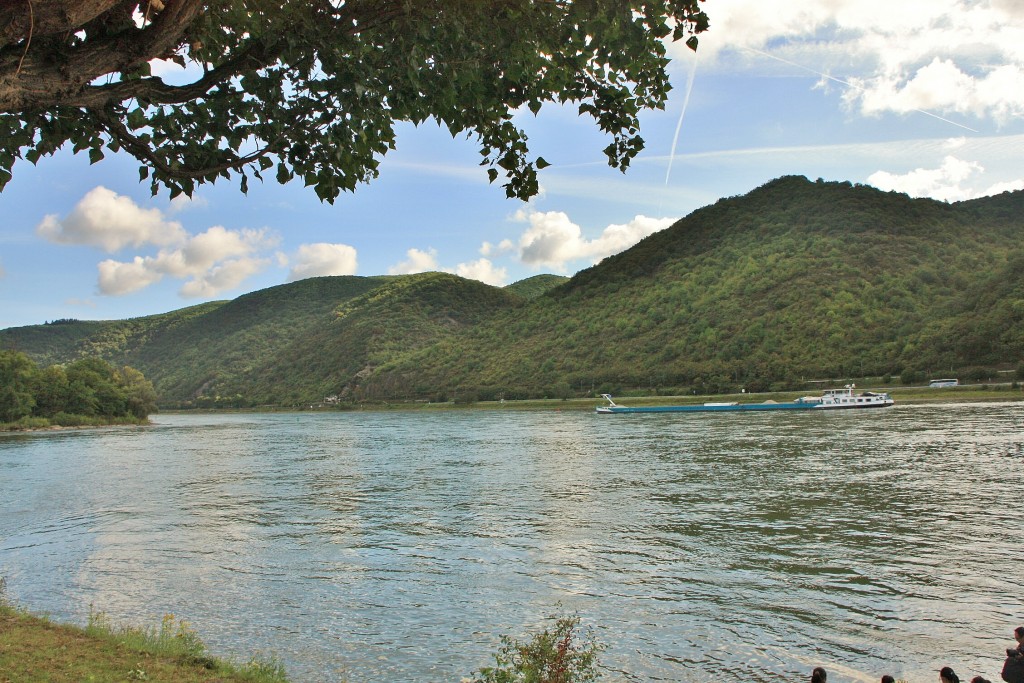 Foto: El Rhine - Bacharach (Rhineland-Palatinate), Alemania