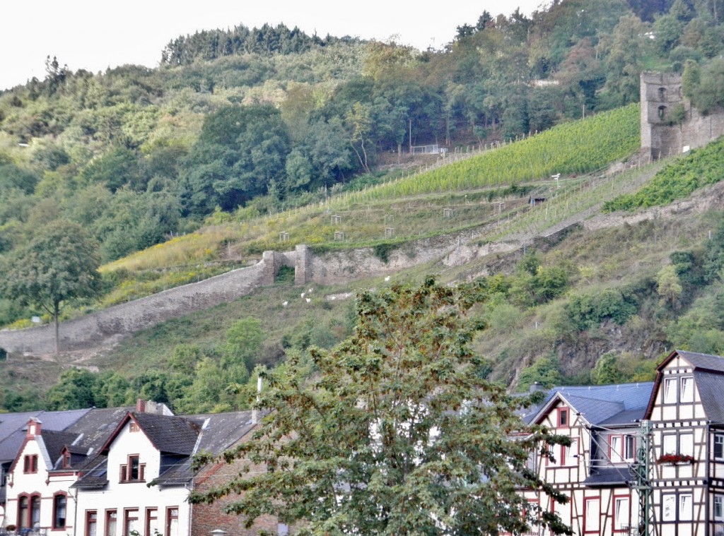Foto: Vista del pueblo - Kaub-Langscheid (Rhineland-Palatinate), Alemania