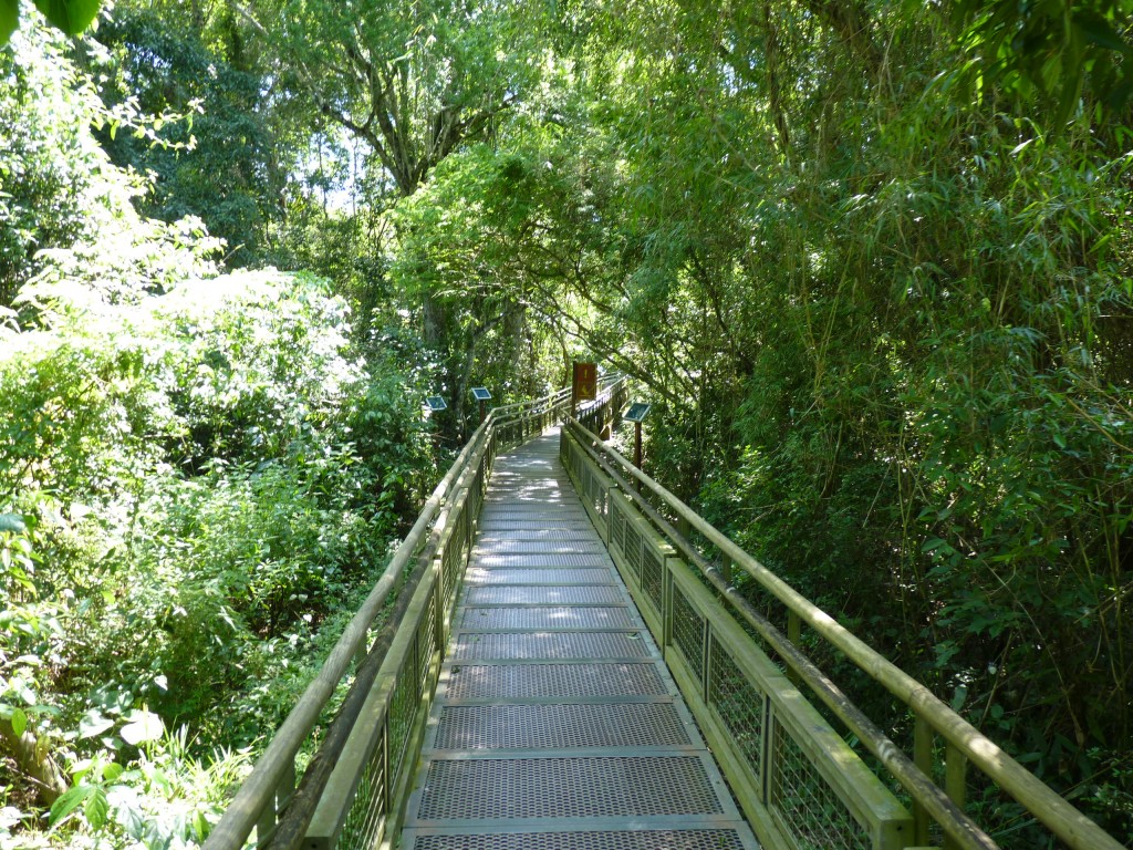 Foto: Cataratas del Iguazú - Cataratas del Iguazú (Misiones), Argentina