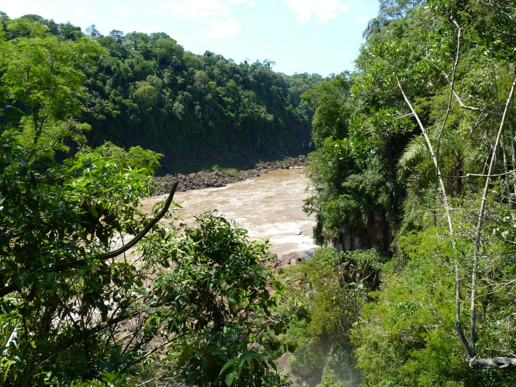 Foto: Río Iguazú. - Cataratas del Iguazú (Misiones), Argentina