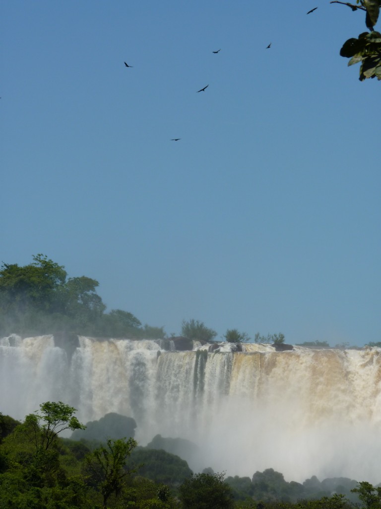 Foto: Saltos en panorámica. - Cataratas del Iguazú (Misiones), Argentina