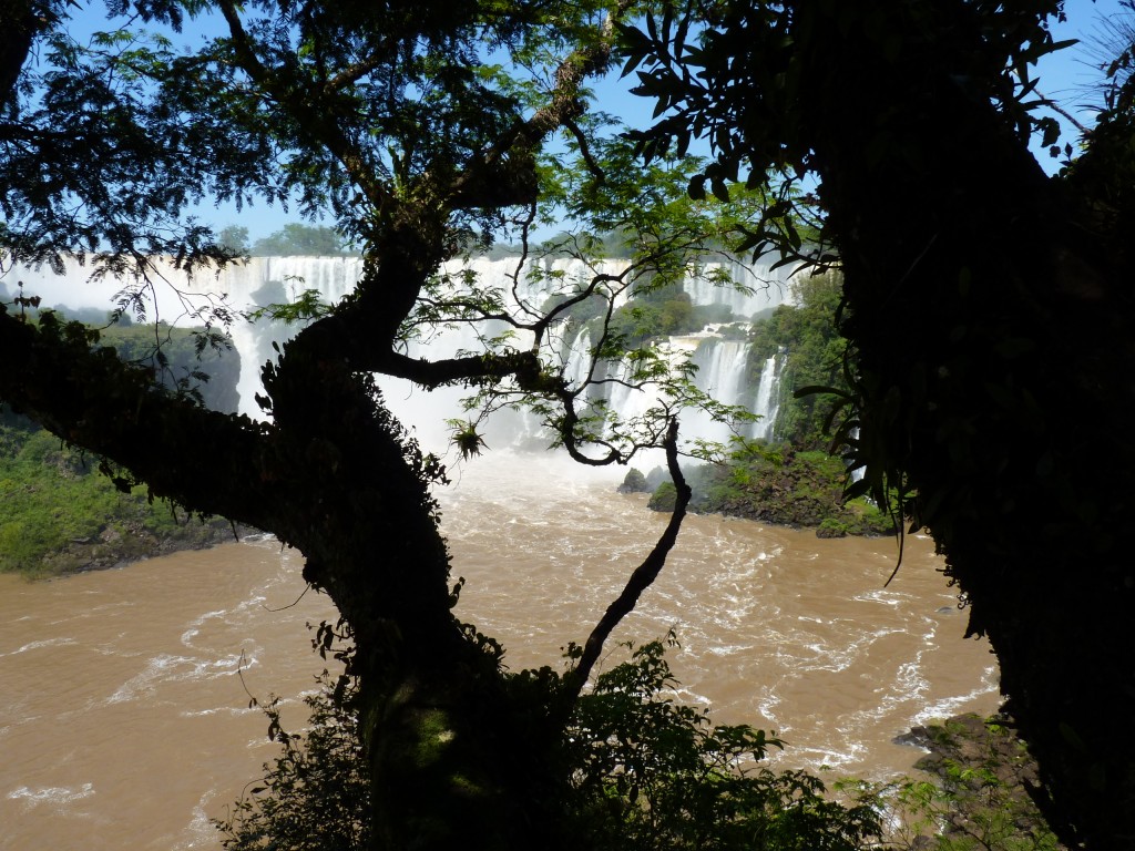 Foto: Saltos en panorámica. - Cataratas del Iguazú (Misiones), Argentina