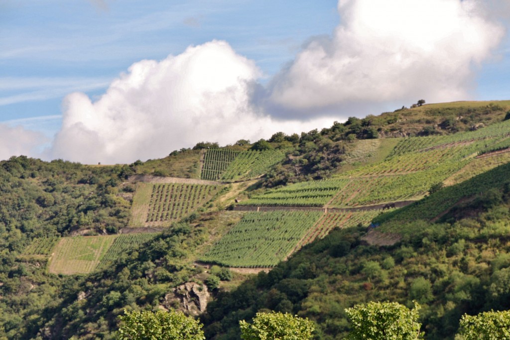 Foto: Vistas del Rhine - St. Goar (Rhineland-Palatinate), Alemania