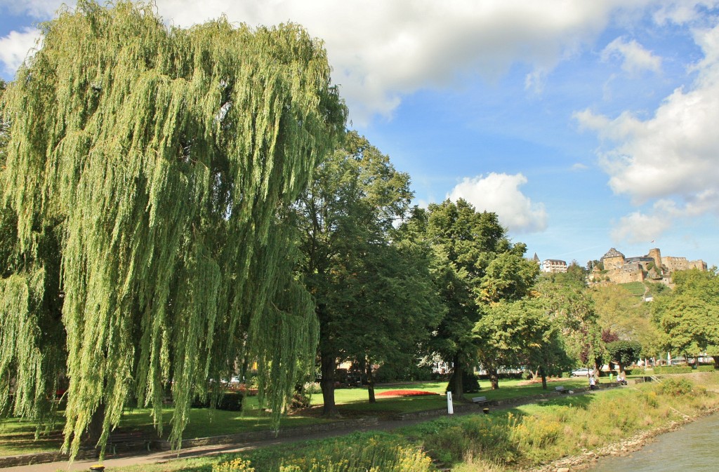 Foto: Vista del pueblo - St. Goarshausen (Rhineland-Palatinate), Alemania