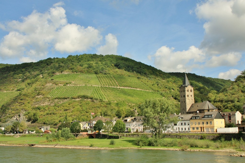 Foto: Vistas desde el  Rhine - Wellmich (Rhineland-Palatinate), Alemania