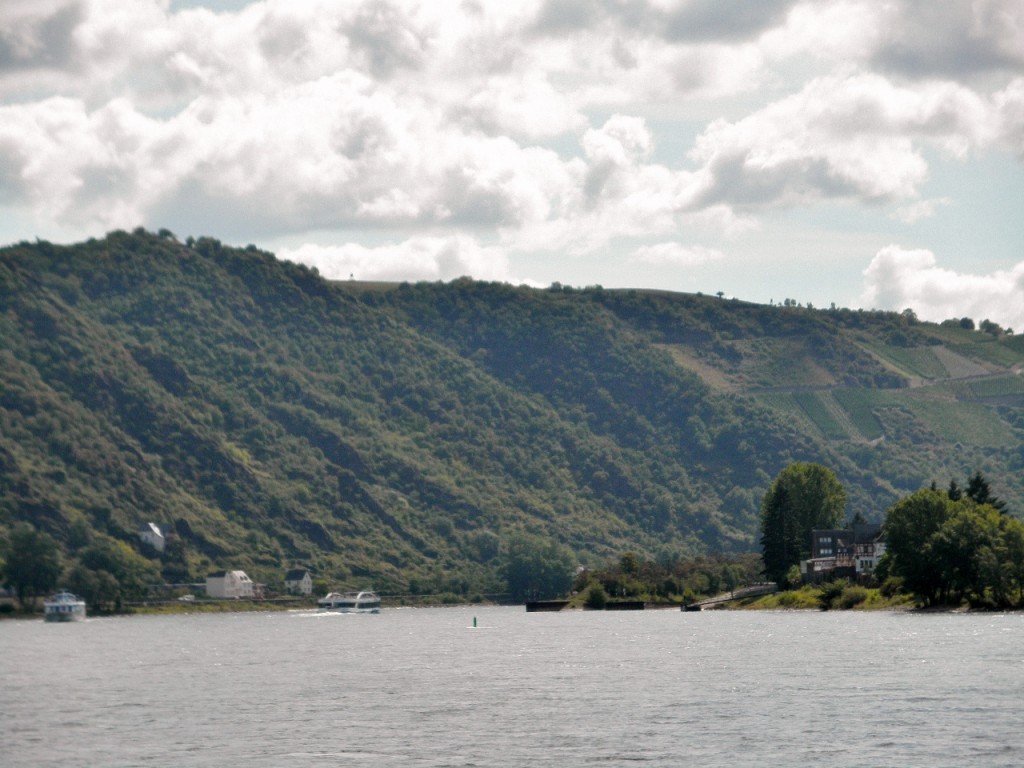 Foto: Vistas del Rhine - Wellmich (Rhineland-Palatinate), Alemania