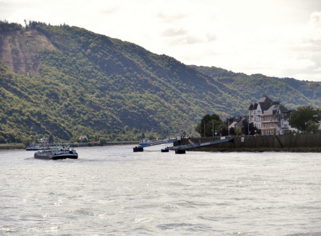 Foto: Vistas del Rhine - Kamp-Bornhofen (Rhineland-Palatinate), Alemania