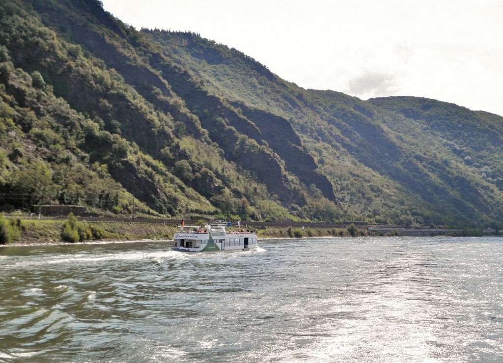 Foto: Vistas del Rhine - Kamp-Bornhofen (Rhineland-Palatinate), Alemania