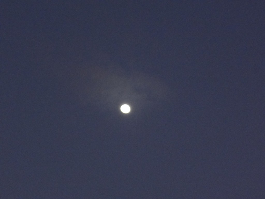 Foto: luna - Shell (Pastaza), Ecuador