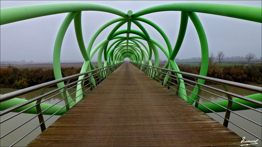 Foto: 111127-20 PUENTE LA CARTUJA - Zaragoza (Aragón), España