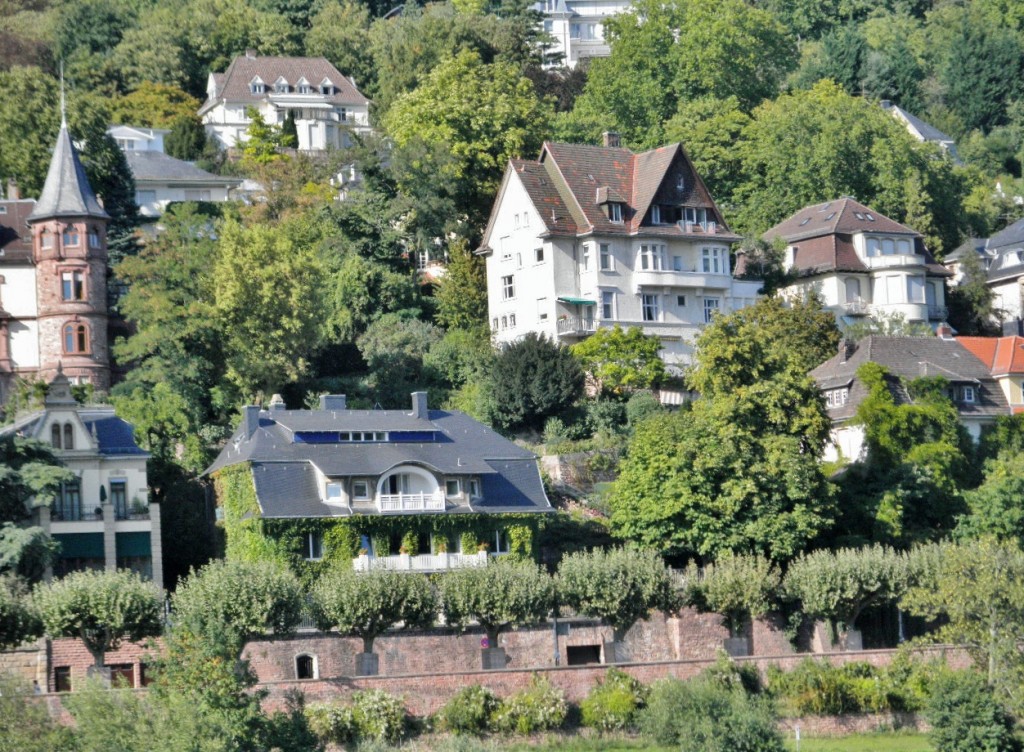 Foto: Ribera del Neckar - Heidelberg (Baden-Württemberg), Alemania