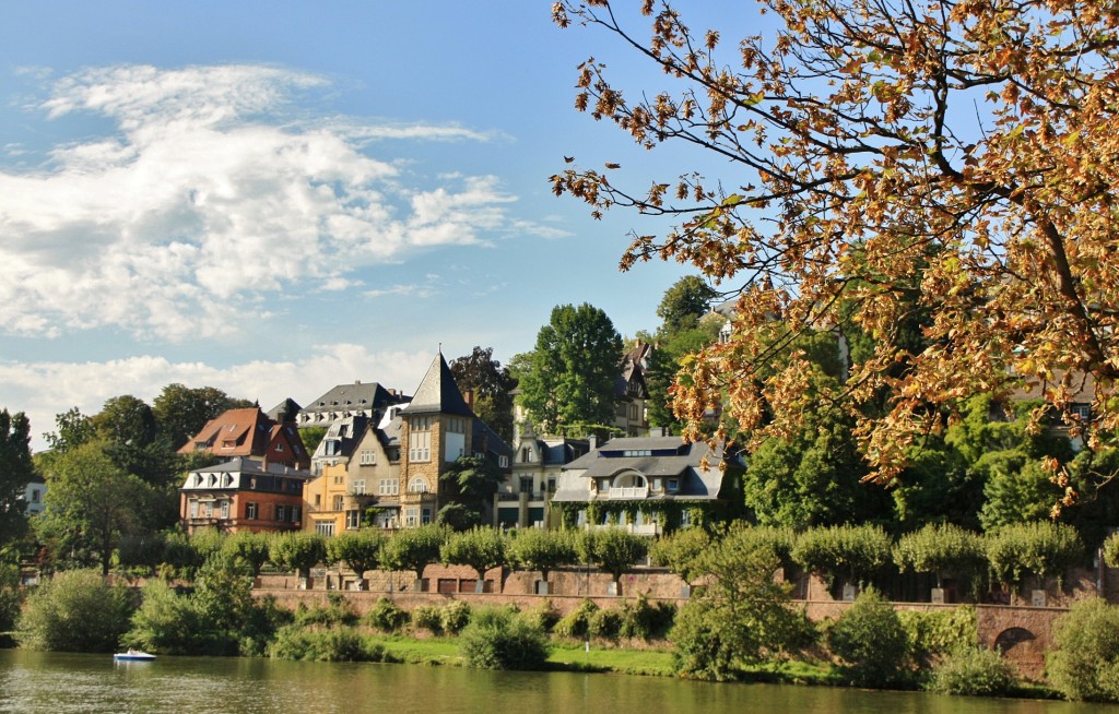 Foto: Ribera del Neckar - Heidelberg (Baden-Württemberg), Alemania