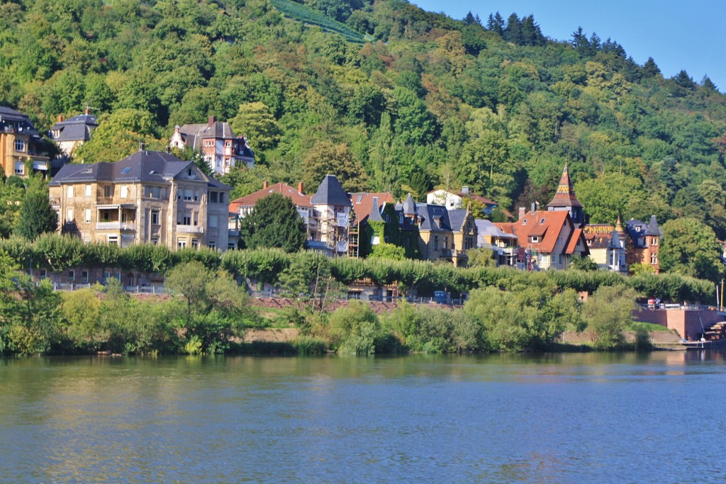 Foto: Ribera del Neckar - Heidelberg (Baden-Württemberg), Alemania