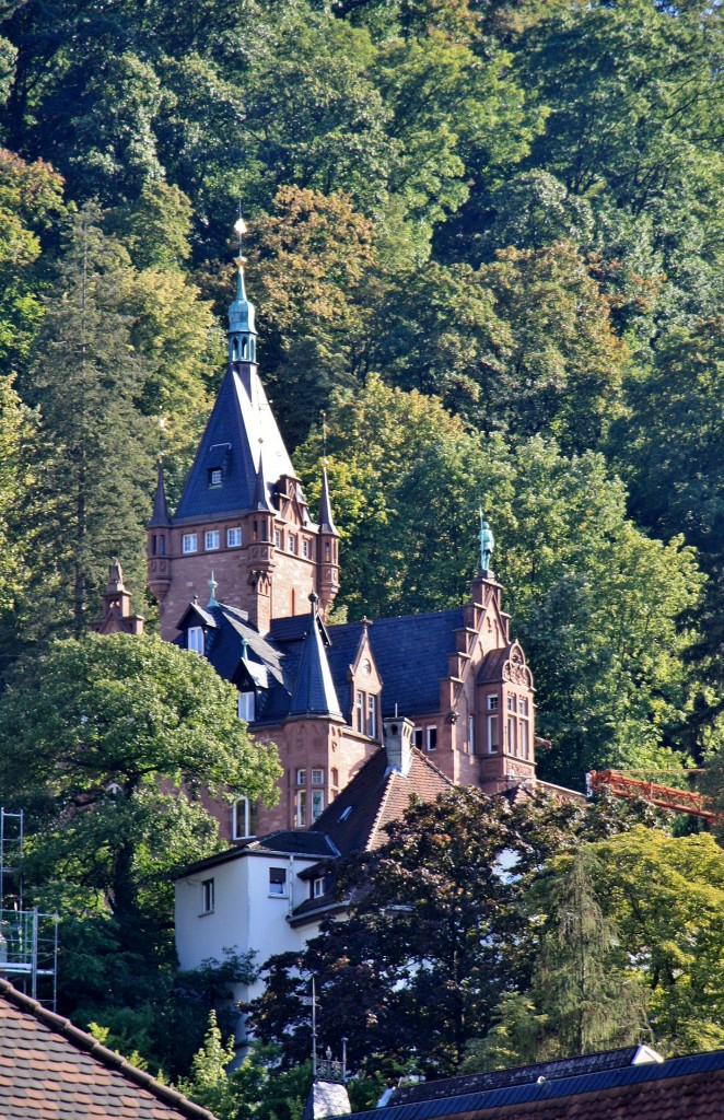 Foto: Casa entre el bosque - Heidelberg (Baden-Württemberg), Alemania