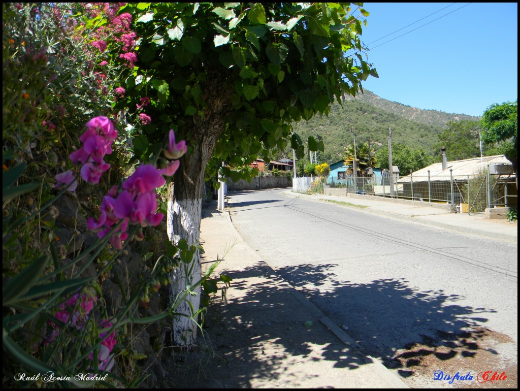 Foto de Coya (Libertador General Bernardo OʼHiggins), Chile