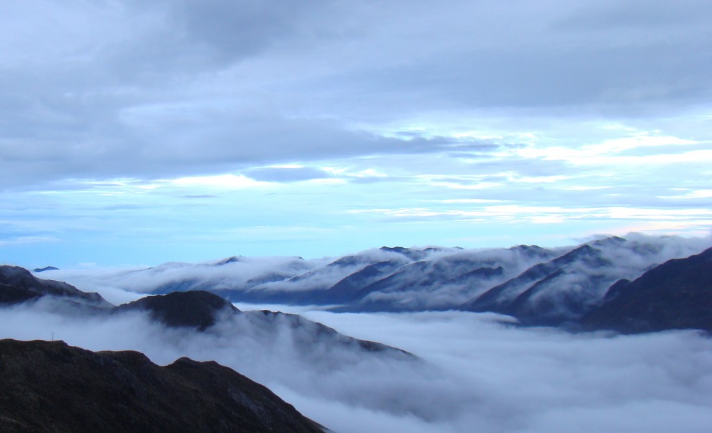 Foto: Neblina 1 - Merida, Venezuela