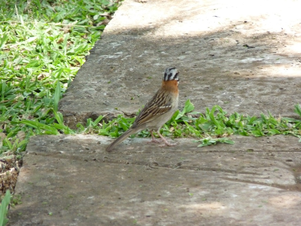 Foto: Parque Moconá - El Soberbio (Misiones), Argentina