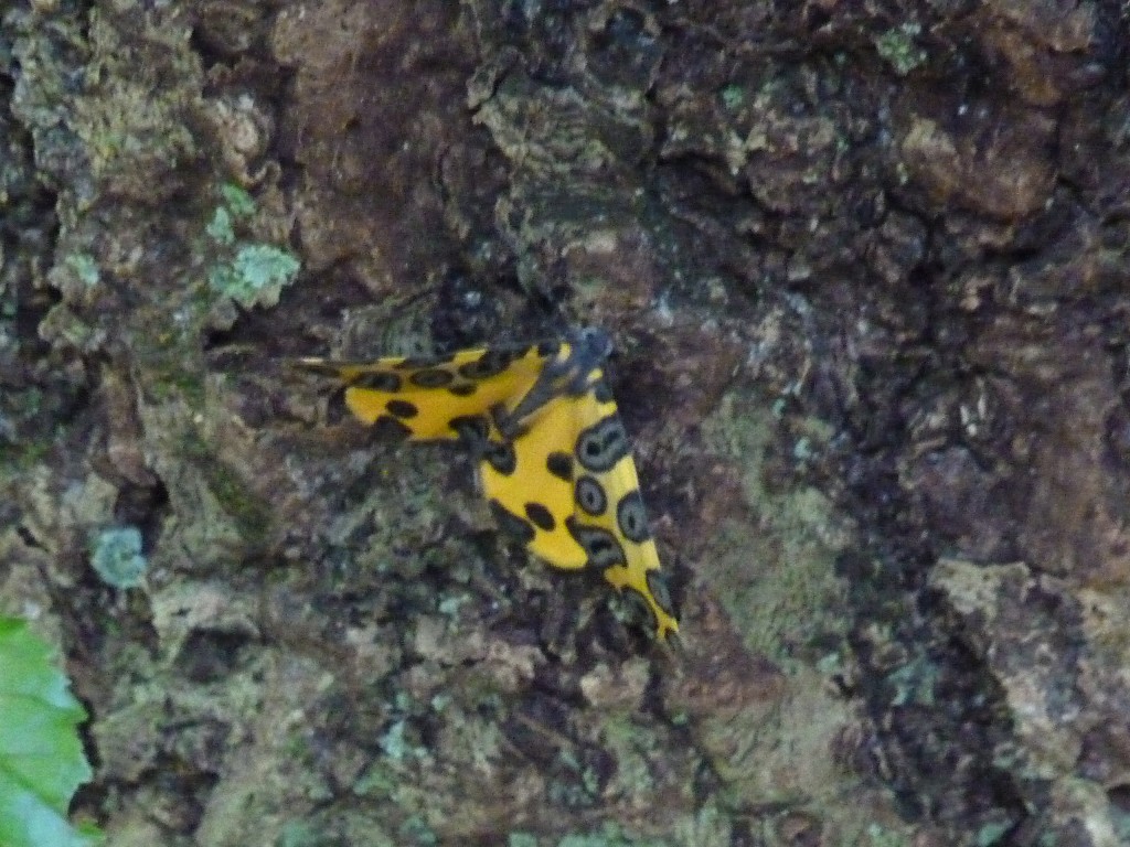 Foto: Parque Moconá - El Soberbio (Misiones), Argentina