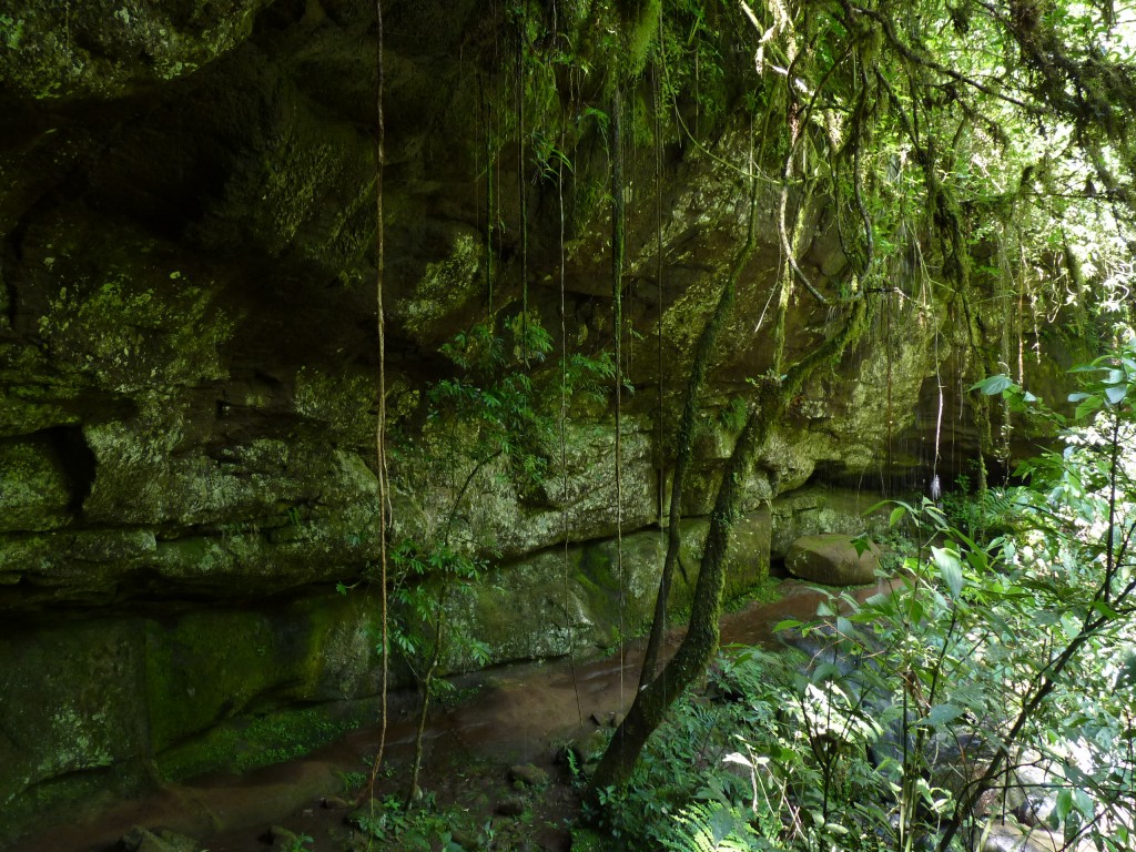 Foto de El Soberbio (Misiones), Argentina