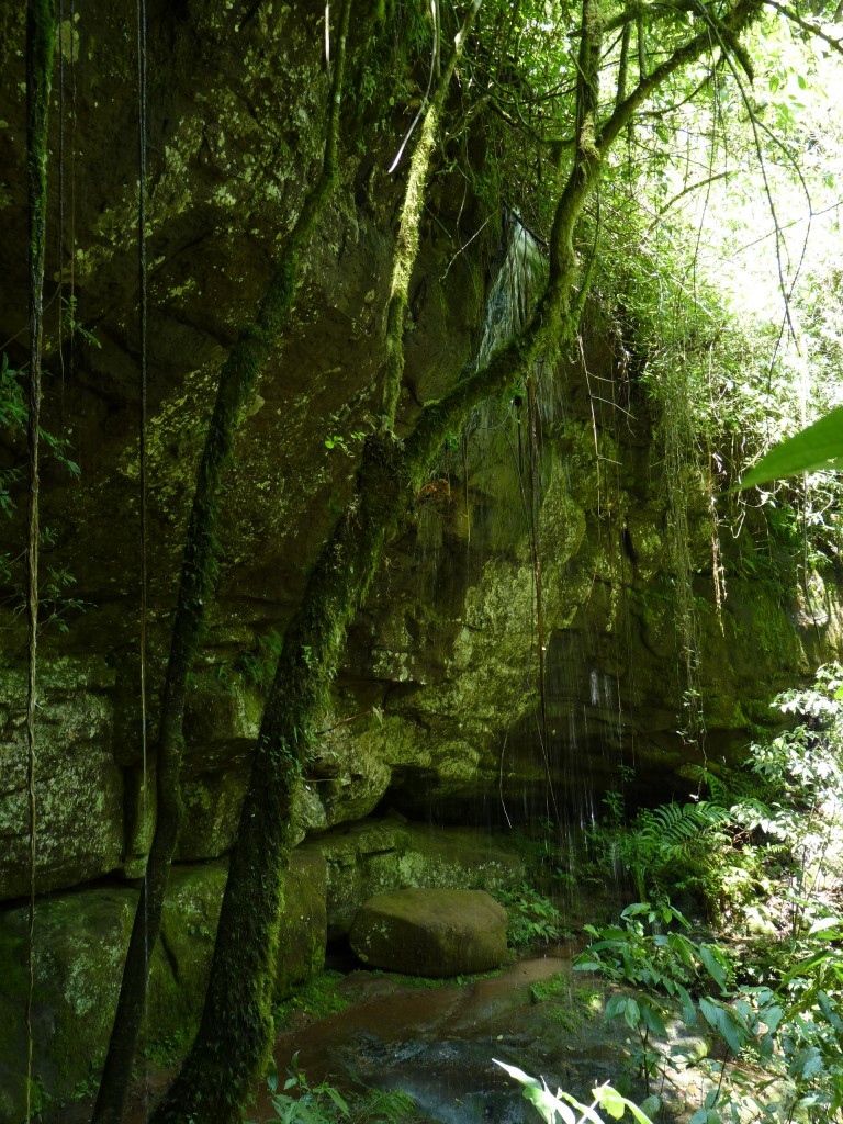Foto: Parque Moconá - El Soberbio (Misiones), Argentina