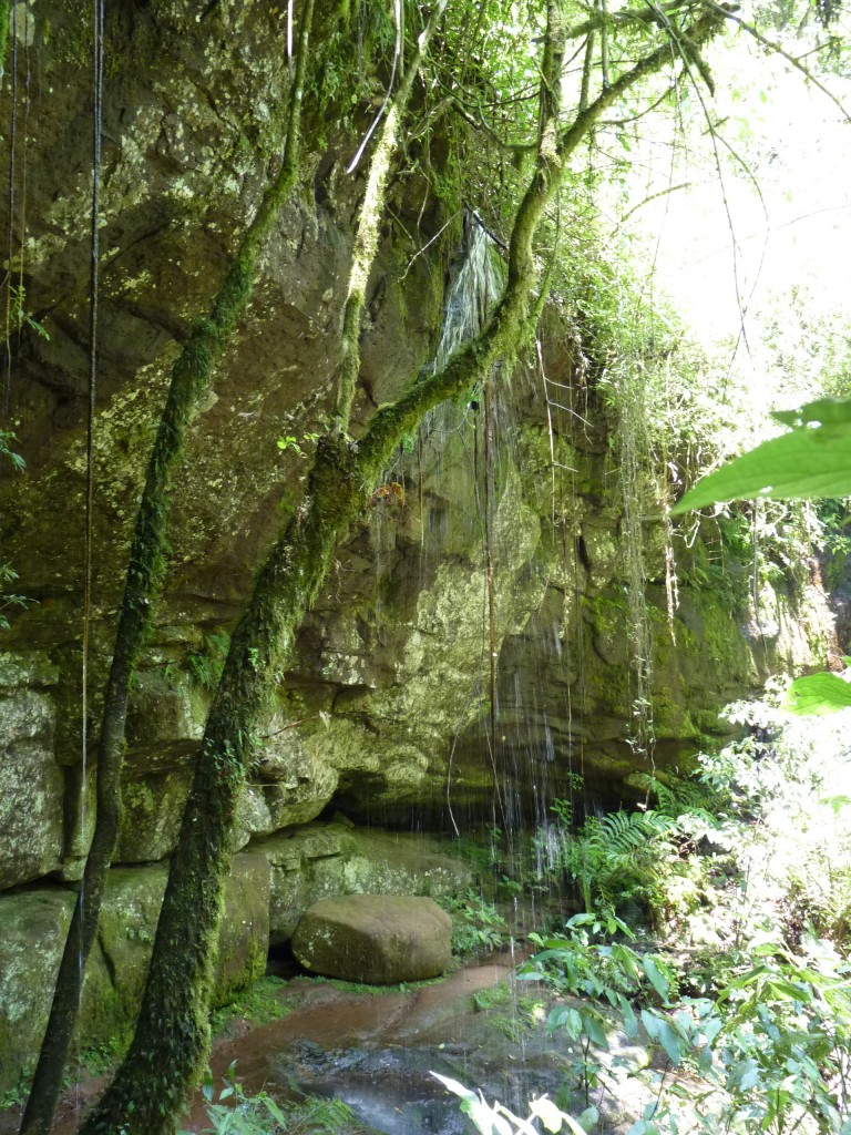 Foto: Parque Moconá - El Soberbio (Misiones), Argentina
