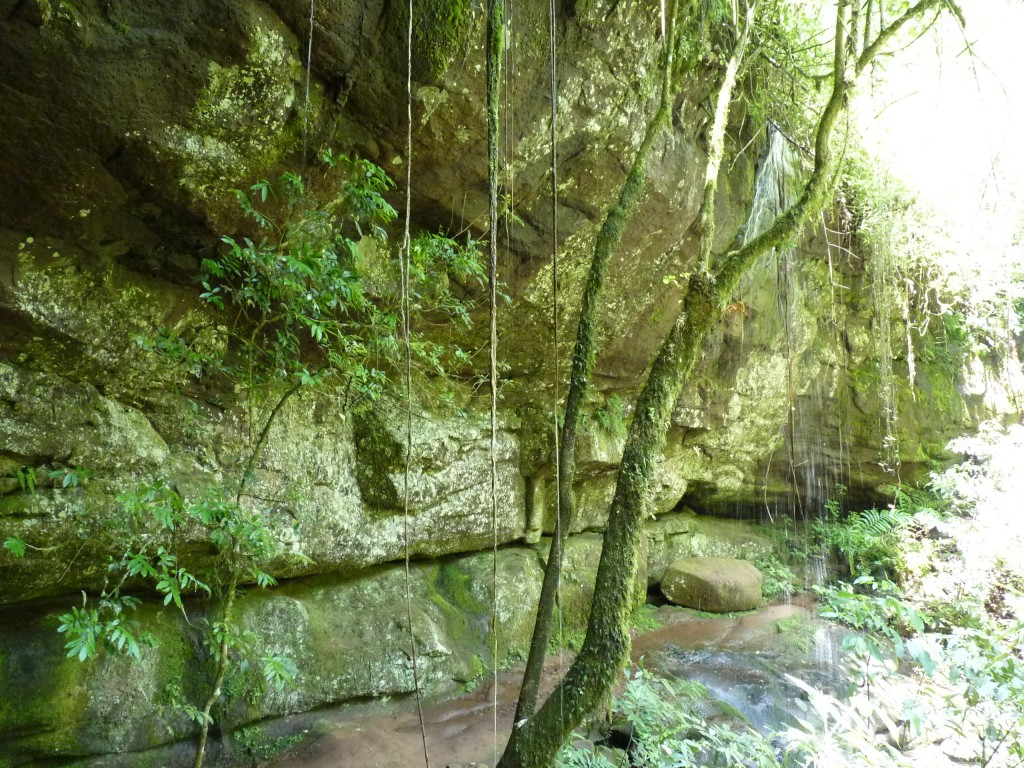 Foto: Parque Moconá - El Soberbio (Misiones), Argentina