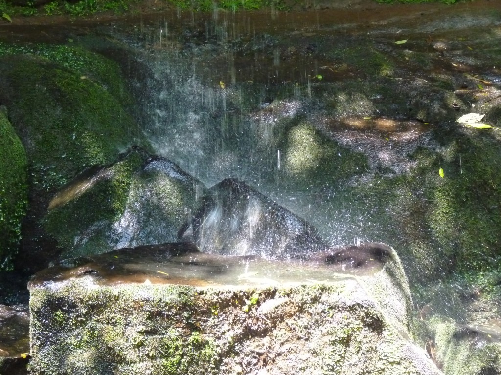 Foto: Parque Moconá - El Soberbio (Misiones), Argentina