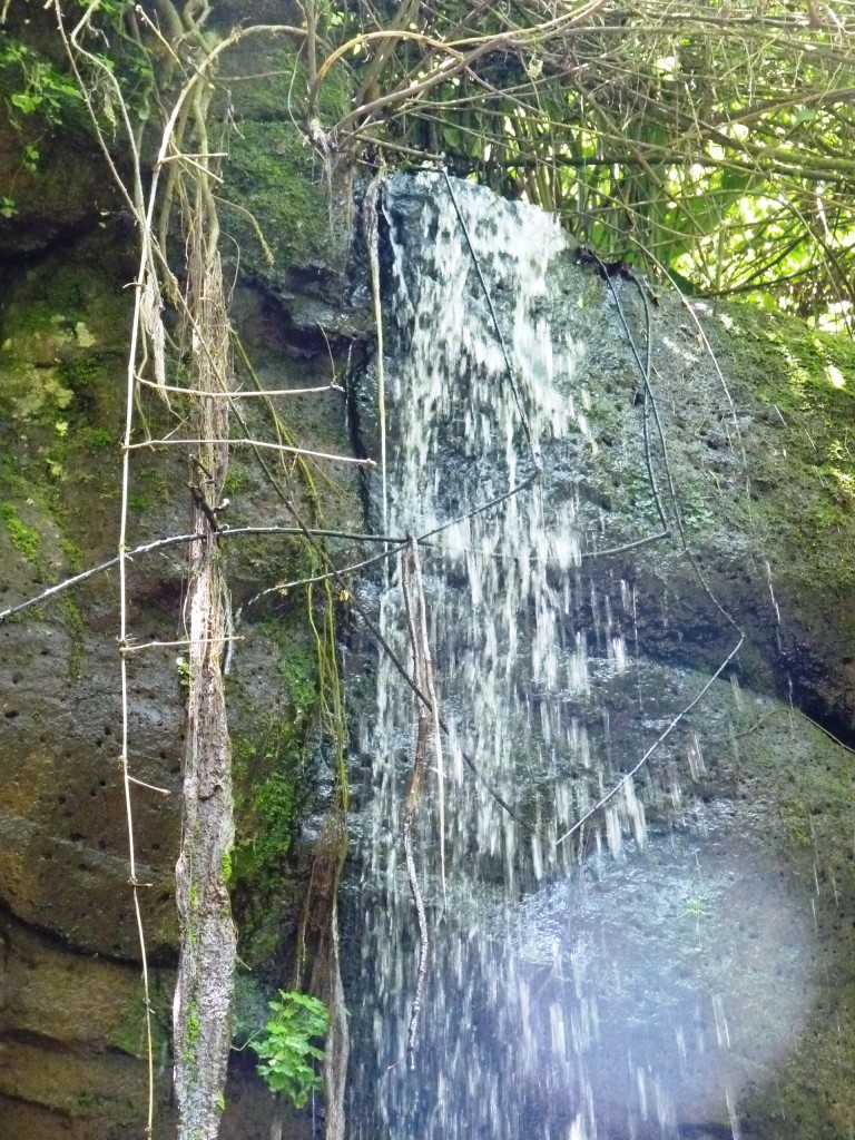 Foto: Parque Moconá - El Soberbio (Misiones), Argentina