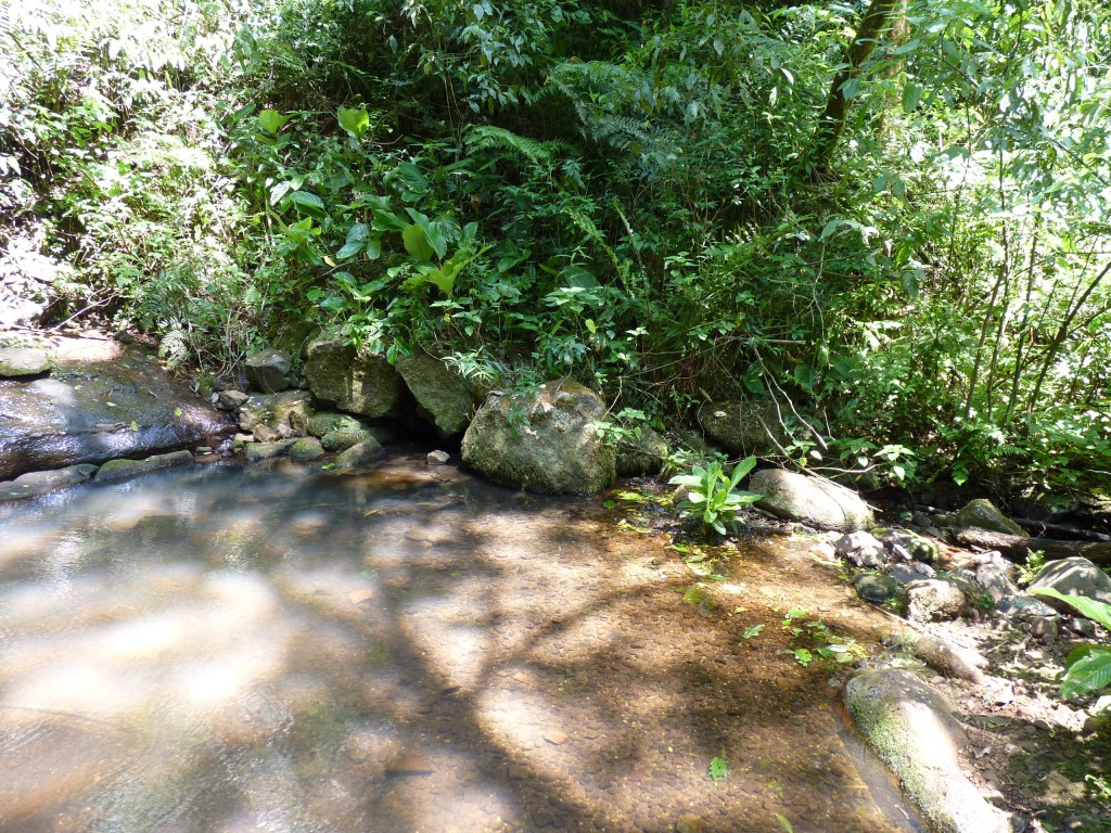 Foto: Parque Moconá - El Soberbio (Misiones), Argentina