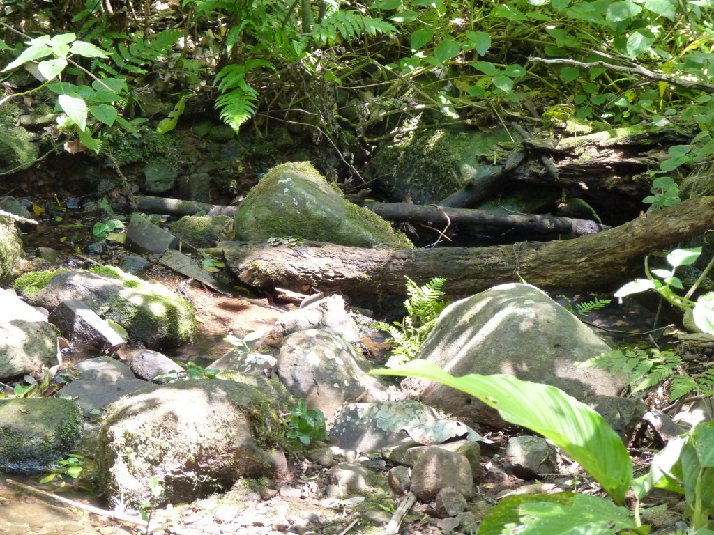 Foto: Parque Moconá - El Soberbio (Misiones), Argentina
