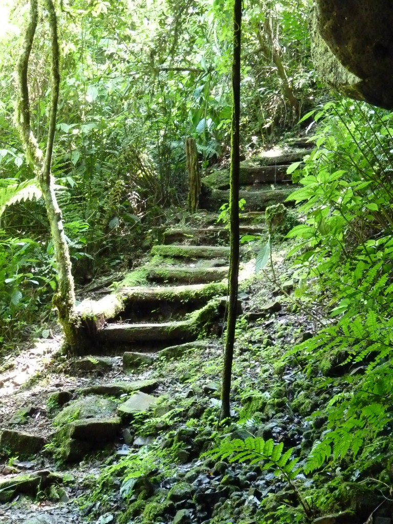 Foto: Parque Moconá - El Soberbio (Misiones), Argentina